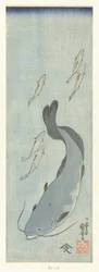 Catfish and Five Trout