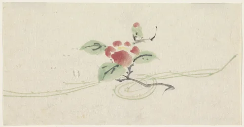 Branch with Red Camellia