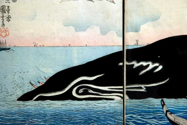 Throng of People Around a Captured Whale