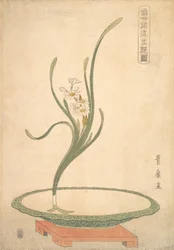 Flower Arrangement of Suisen Narcissus in a Flat Green Dish