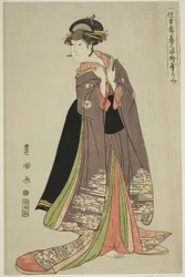 Yamatoya: Iwai Hanshiro IV as Katanaya Ohana, from the series 