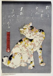 Unknown Image