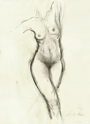Graceful Female Sketch
