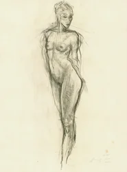 Graceful Nude Figure