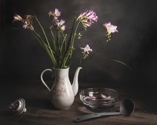 Purple Freesia Still Life