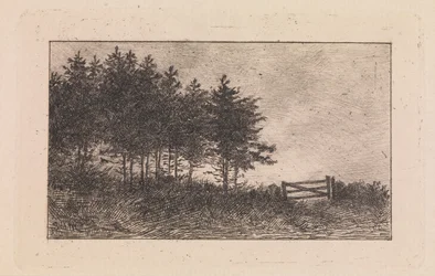 August Evening