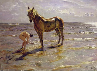 Bathing a Horse