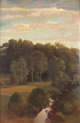 Wooded Hills behind a Meadow with a Peat Bog