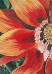 Vibrant Orange Bloom