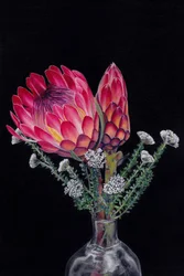Vibrant Protea Blooms