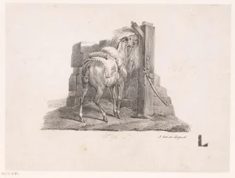 Study of a Horse in a Stable