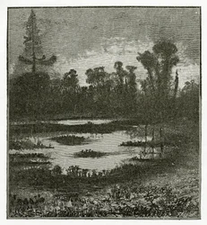 Les Chants du Crépuscule