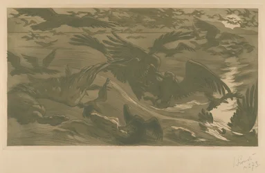 Birds of Prey, 1893