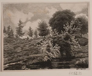 Hills by a Marsh