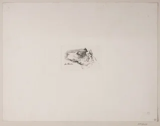 Dog Head