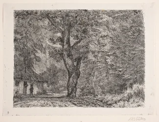 The House in the Forest