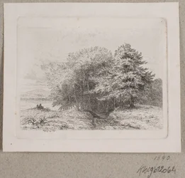 Edge of a Forest
