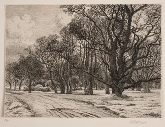 Winter in the Forest