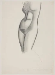 Female Model, Torso