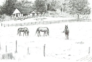 Horses at top of lane