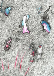 Paleheads, 2017