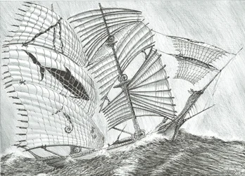 Storm Creators Savu Sea, 2017