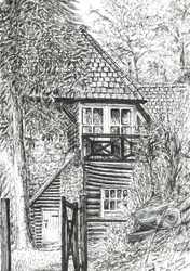 The Log House