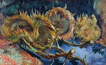 Four Cut Sunflowers