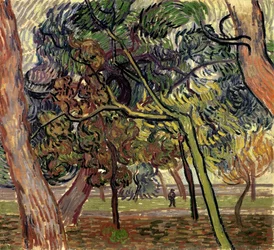 Pine Trees in the Garden of the Asylum