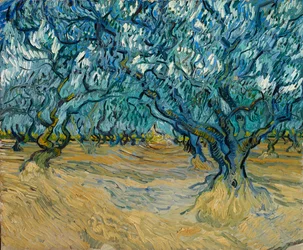 The Olive Grove, Saint-Rémy
