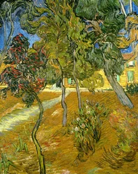 Trees in the garden of the asylum