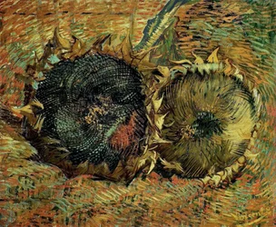 Two Cut Sunflowers, 1887