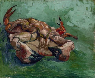 A Crab on its Back