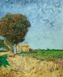 Alley in Arles with Houses