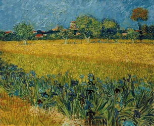 View of Arles with Irises in the Foreground