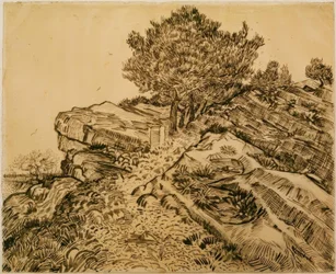 The Rock of Montmajour with Pine Trees