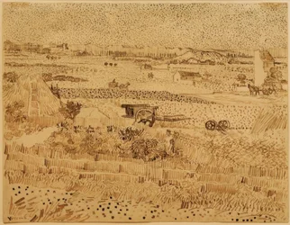 Harvest in Provence