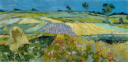 Fields near Auvers