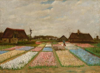 Flower Beds in Holland