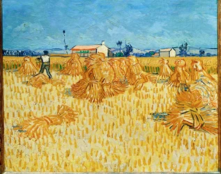 Harvest in Provence June 1888