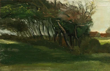 Landscape with Windswept Trees, c.1883-84