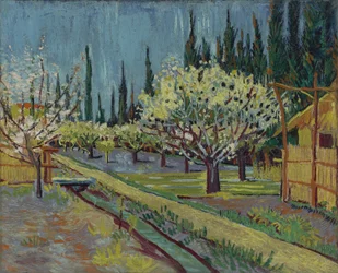 Orchard Bordered by Cypresses