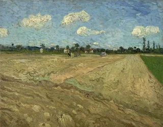 Ploughed Fields („The Furrows“)