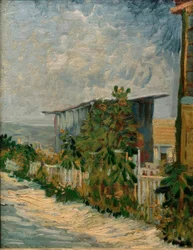 Shed with Sunflowers
