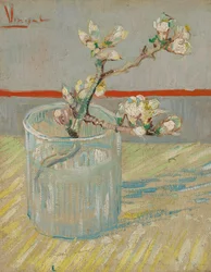 Sprig of Flowering Almond Blossom in a Glass