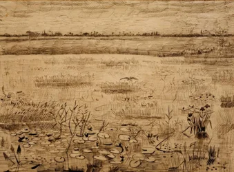 Marsh Landscape with Water Lilies