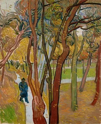 The garden of Saint Pauls Hospital The fall of the leaves