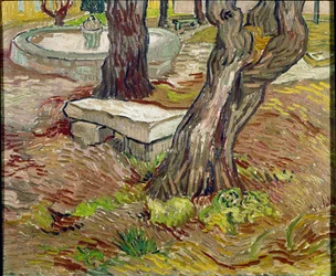 The Park of the Saint Paul Asylum in Saint-Remy