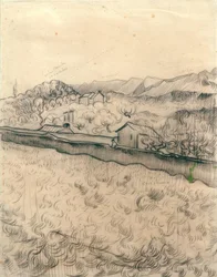 Walled Field
