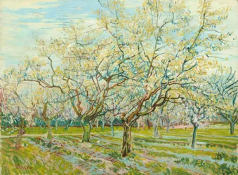 V. van Gogh, The White Orchard
